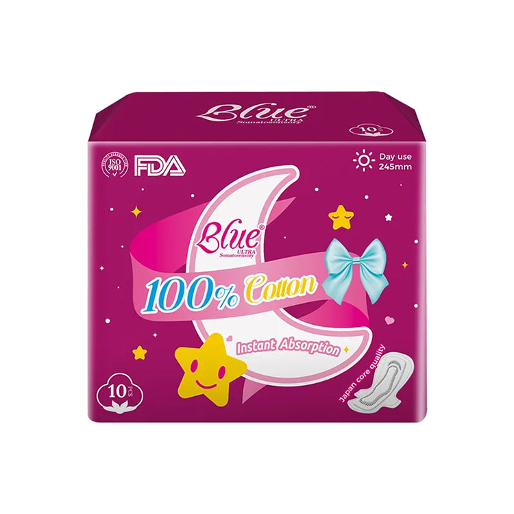 Regular na Sanitary Pad